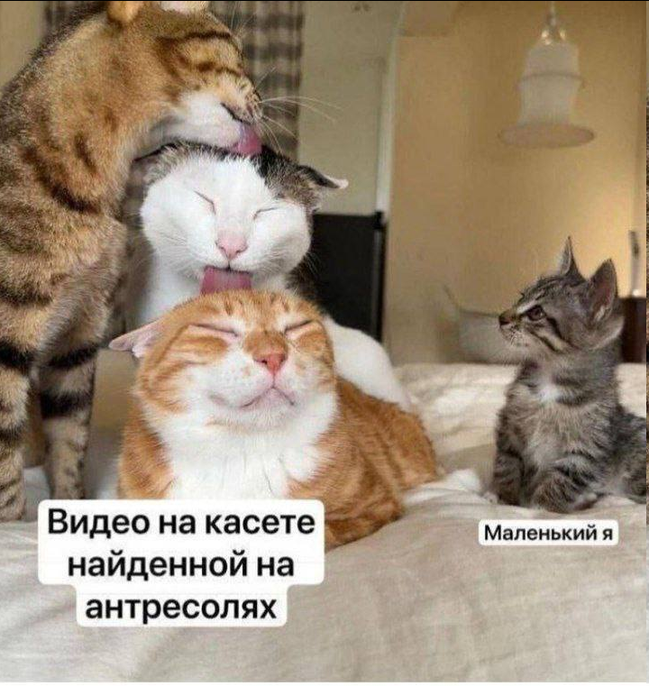 https://upforme.ru/uploads/001c/36/d0/73/79561.png
