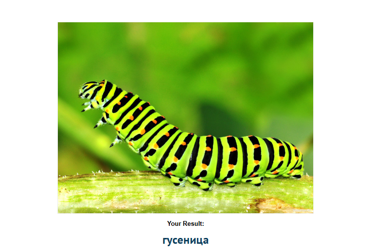 https://upforme.ru/uploads/001c/36/d0/83/872259.png
