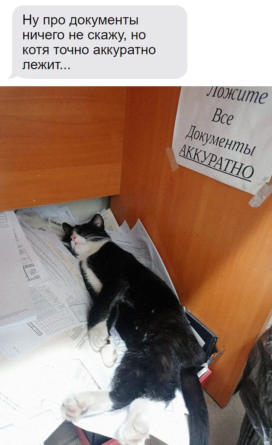 https://upforme.ru/uploads/001c/36/d0/93/811061.jpg