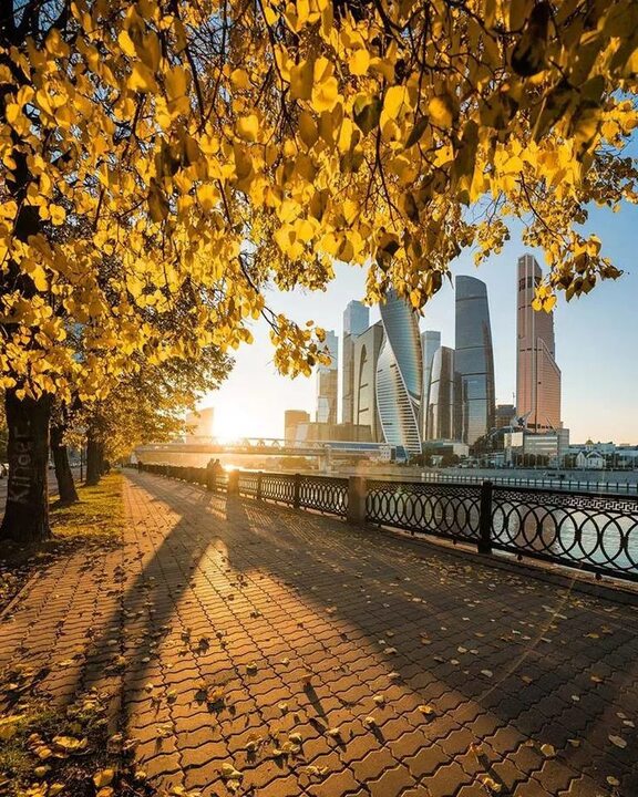 https://upforme.ru/uploads/001c/36/d0/99/207436.jpg