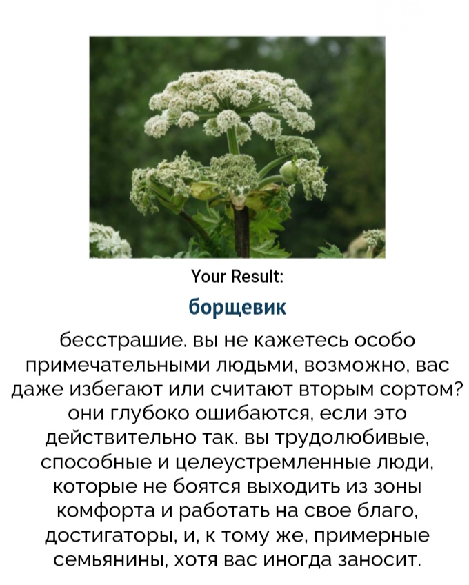 https://upforme.ru/uploads/001c/36/d0/99/583211.jpg