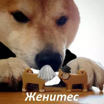 https://upforme.ru/uploads/001c/38/7d/8/t890712.webp