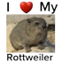 https://upforme.ru/uploads/001c/38/af/1136/579850.png