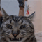 https://upforme.ru/uploads/001c/38/af/1190/939030.gif