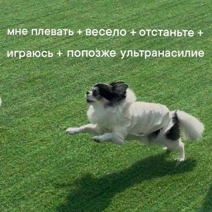 https://upforme.ru/uploads/001c/38/af/1218/156809.jpg