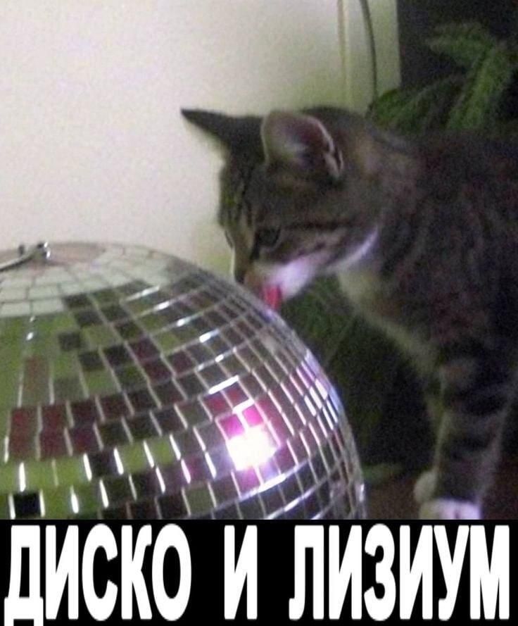 https://upforme.ru/uploads/001c/38/af/1218/486546.jpg