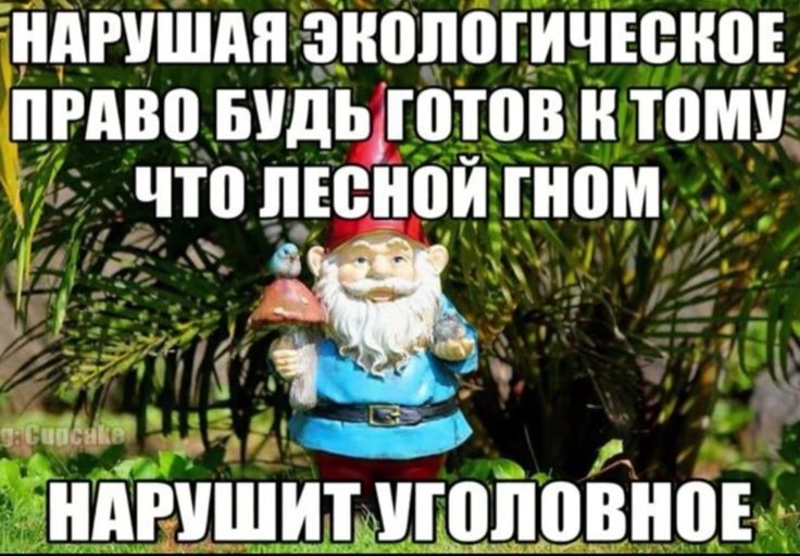 https://upforme.ru/uploads/001c/38/af/1218/528810.jpg