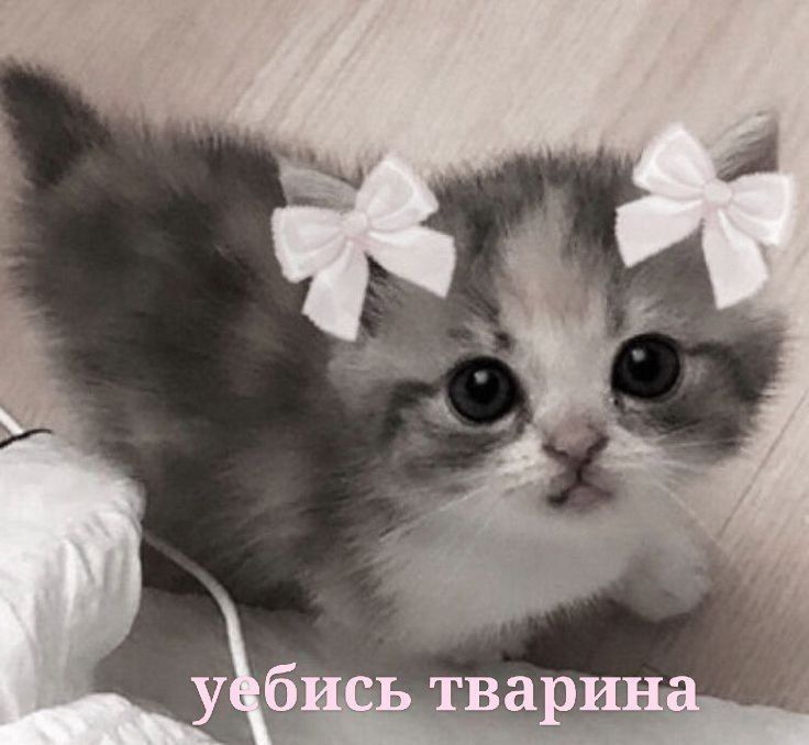 https://upforme.ru/uploads/001c/38/af/1218/64248.jpg