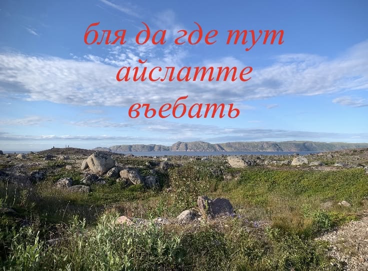 https://upforme.ru/uploads/001c/38/af/1218/711731.jpg