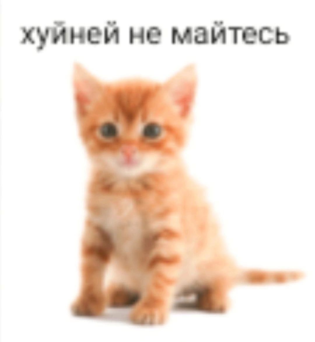 https://upforme.ru/uploads/001c/38/af/1218/82383.jpg