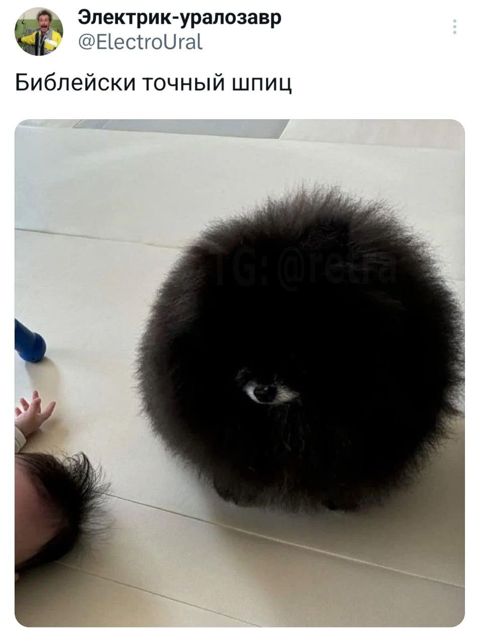 https://upforme.ru/uploads/001c/38/af/1218/853330.jpg