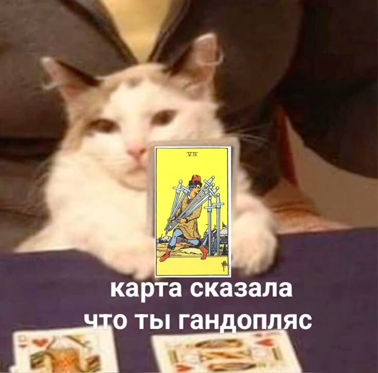 https://upforme.ru/uploads/001c/38/af/1218/995392.jpg