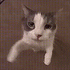 https://upforme.ru/uploads/001c/38/af/6/253806.gif