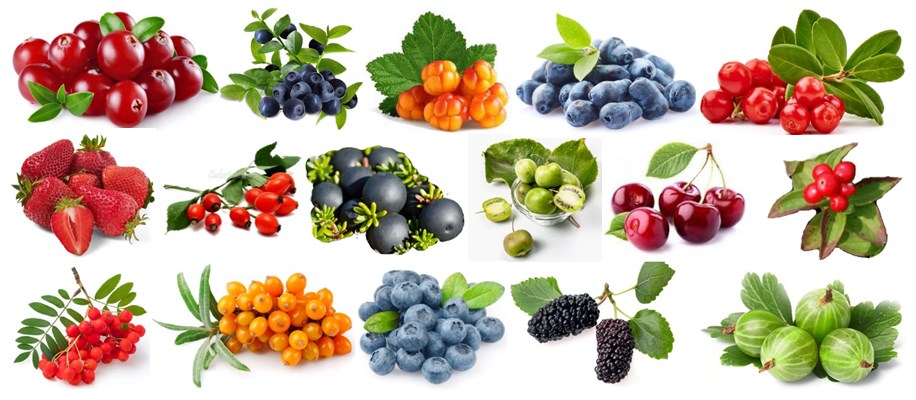 https://upforme.ru/uploads/001c/3a/b3/2/783402.jpg