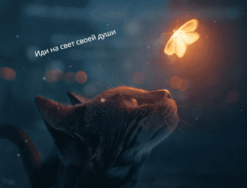 https://upforme.ru/uploads/001c/3a/b4/3/t696589.gif