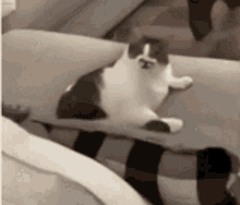 https://upforme.ru/uploads/001c/3b/0e/22/t351347.gif