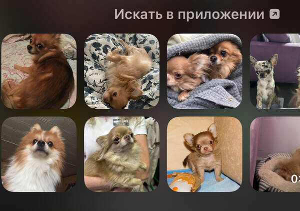 https://upforme.ru/uploads/001c/3b/0e/8/t746575.jpg