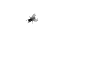 https://upforme.ru/uploads/001c/3b/dd/209/209606.gif