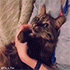 https://upforme.ru/uploads/001c/3b/dd/5/144417.gif