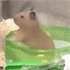 https://upforme.ru/uploads/001c/3b/dd/5/45791.gif