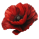 https://upforme.ru/uploads/001c/3d/c8/156/529811.png