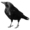 https://upforme.ru/uploads/001c/3d/e8/2/938869.png