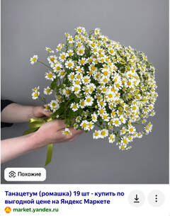 https://upforme.ru/uploads/001c/3e/10/10/t732017.jpg