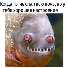 https://upforme.ru/uploads/001c/3e/10/10/t977451.jpg