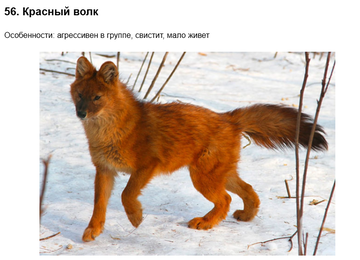 https://upforme.ru/uploads/001c/3e/10/47/t519766.png