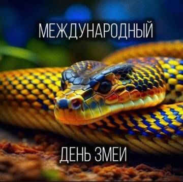 https://upforme.ru/uploads/001c/3e/33/6/t334944.jpg
