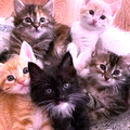 https://upforme.ru/uploads/001c/3e/4c/5/t373124.png