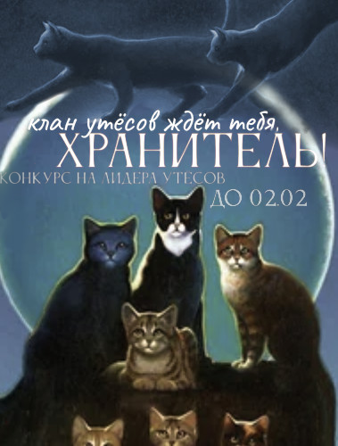 https://upforme.ru/uploads/001c/3f/53/5/511062.png