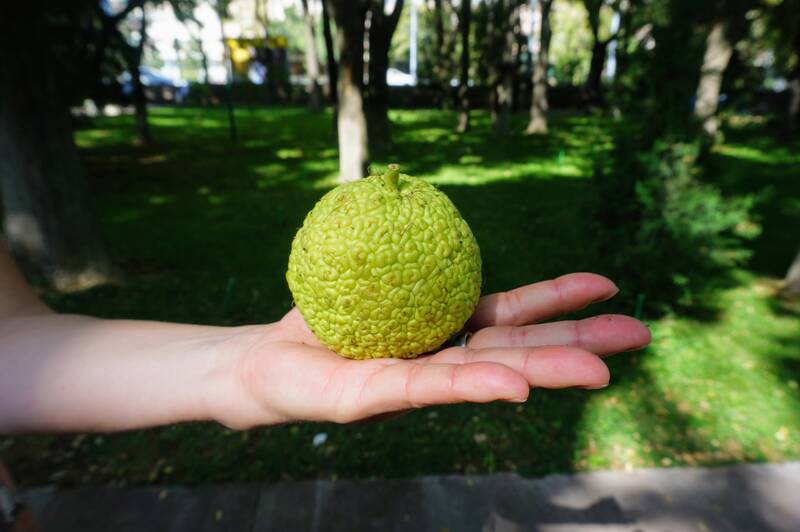 https://upforme.ru/uploads/001c/40/64/2/358464.jpg
