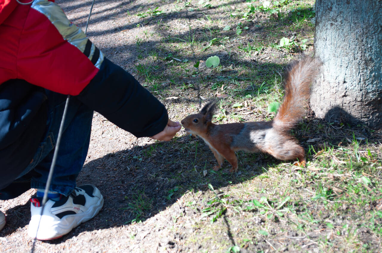 https://upforme.ru/uploads/001c/40/64/2/359922.jpg