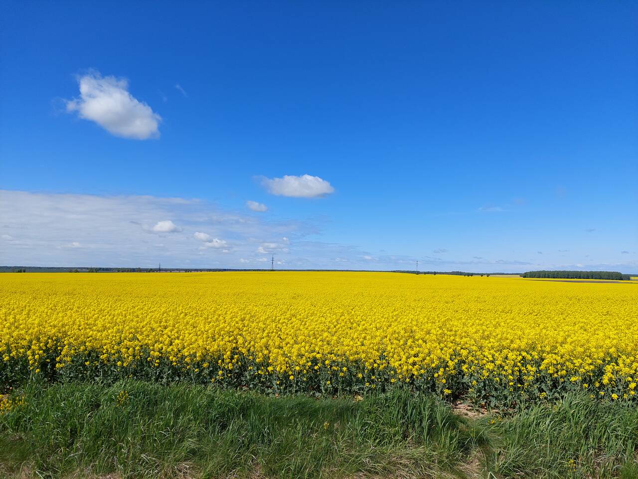 https://upforme.ru/uploads/001c/40/64/2/487184.jpg