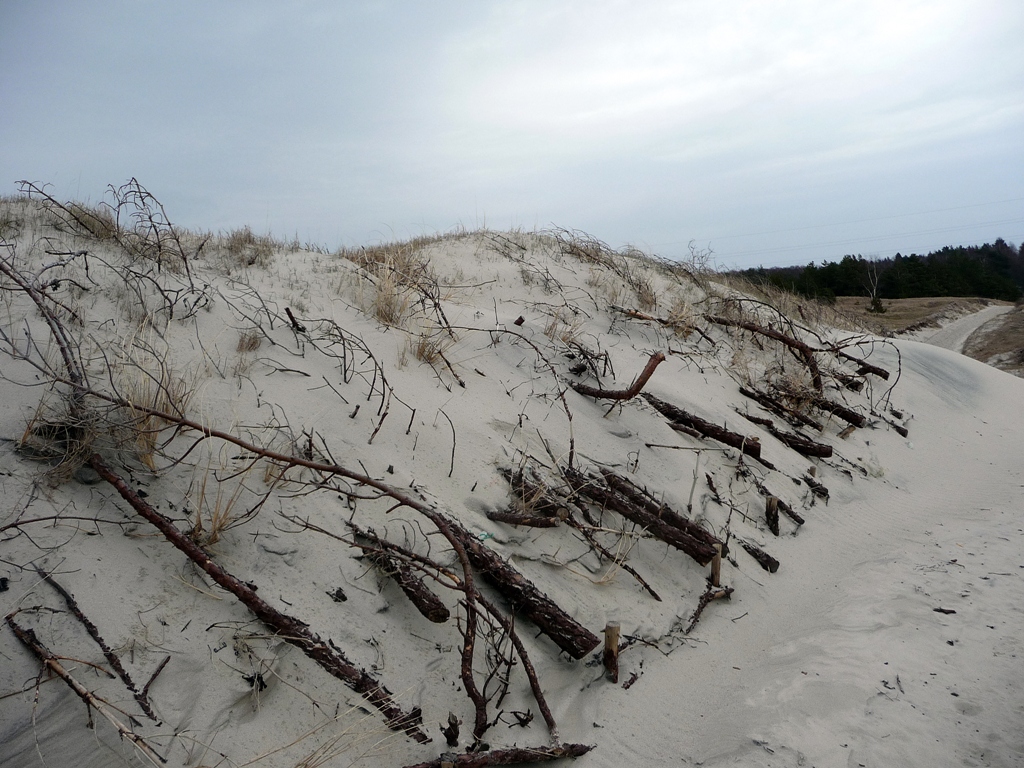 https://upforme.ru/uploads/001c/40/64/2/678267.jpg
