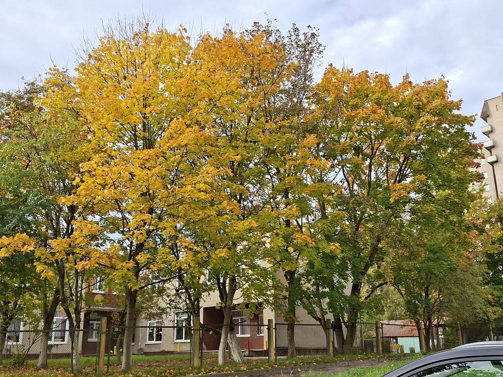 https://upforme.ru/uploads/001c/40/64/2/841093.jpg