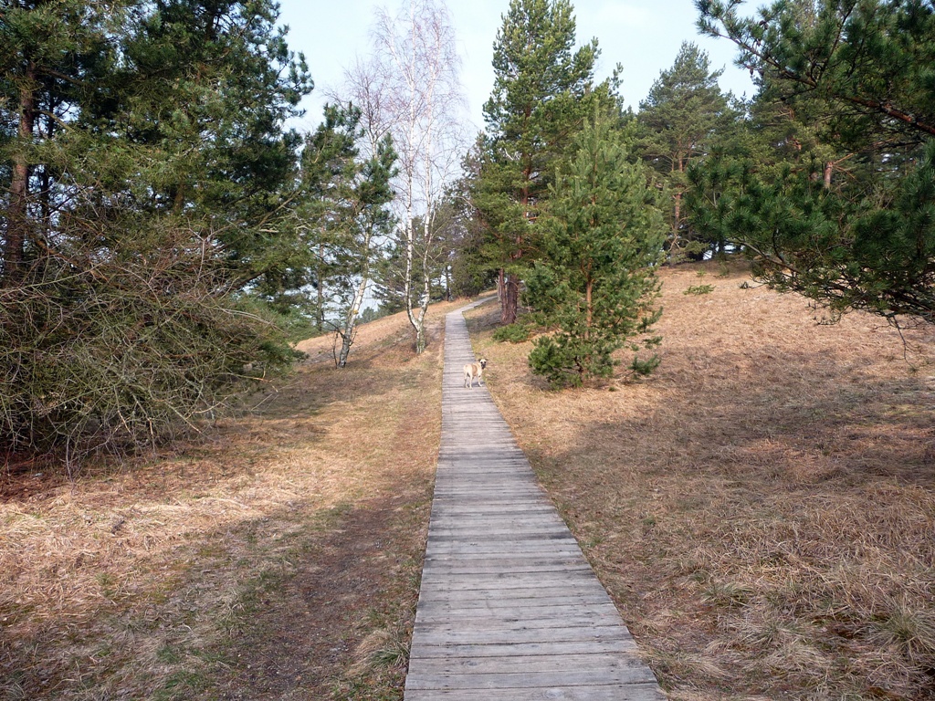 https://upforme.ru/uploads/001c/40/64/2/896387.jpg