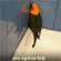 https://upforme.ru/uploads/001c/41/30/2/142354.png
