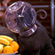 https://upforme.ru/uploads/001c/41/30/2/934135.png