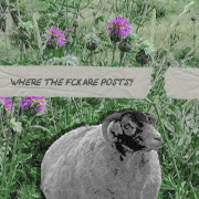 https://upforme.ru/uploads/001c/44/10/4/691801.png