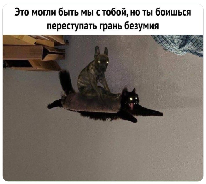 https://upforme.ru/uploads/001c/44/9e/128/690508.jpg