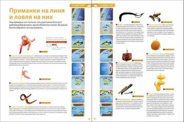 https://upforme.ru/uploads/001c/44/a7/2/t994824.jpg