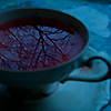 https://upforme.ru/uploads/001c/45/71/244/469419.png