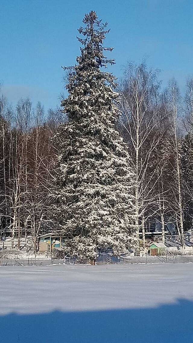 ����� � ��� ����� ���������� ����?