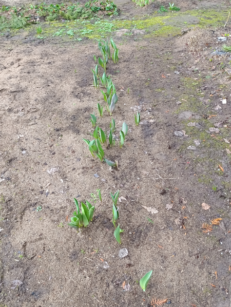 ����� � ����