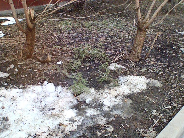 ����� � ����