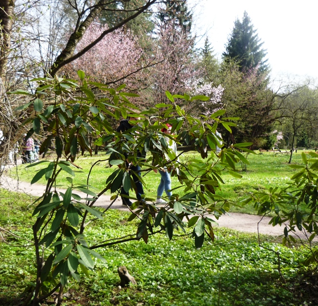 ��� ������� (� ����� �� ������ ���)