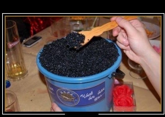 ��, �������!