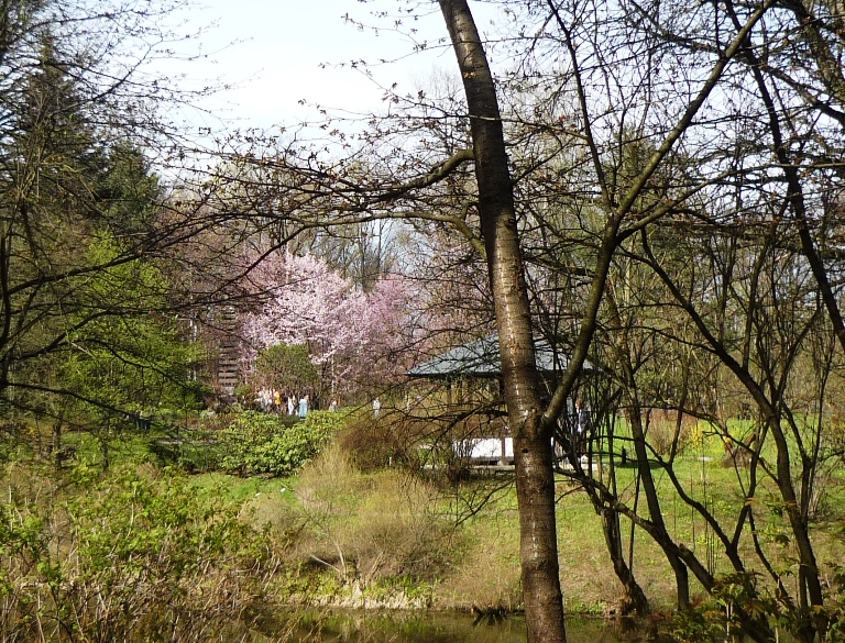 ��� ������� (� ����� �� ������ ���)